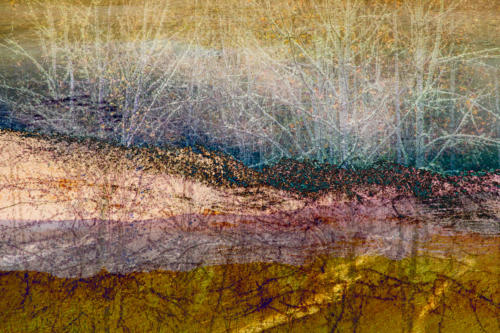 Concentric_Landscapre_Triptych_Ebeys_Landing_Yellowstone_Nisqually