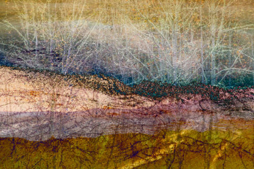 Concentric Landscape Triptych: Ebey's Landing, Coupeville, Washington: Yellowstone National Park; Nisqually National Wildlife Refuge, Olympia, Washington