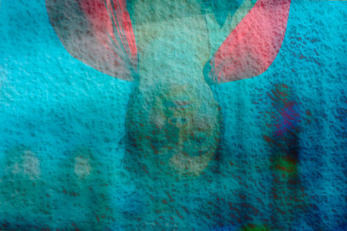 Memory of a Life Suspended